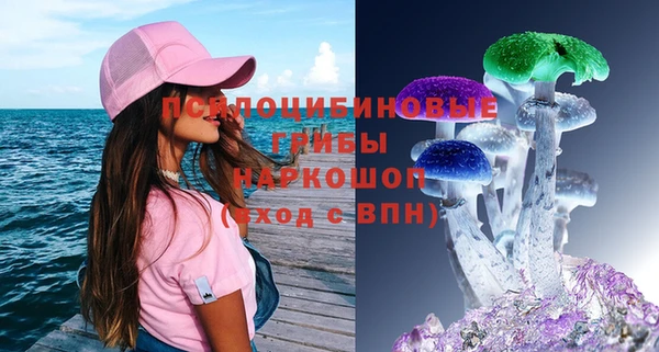 синтетический гашиш Алексин