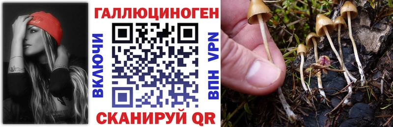 Псилоцибиновые грибы Magic Shrooms  Малаховка 